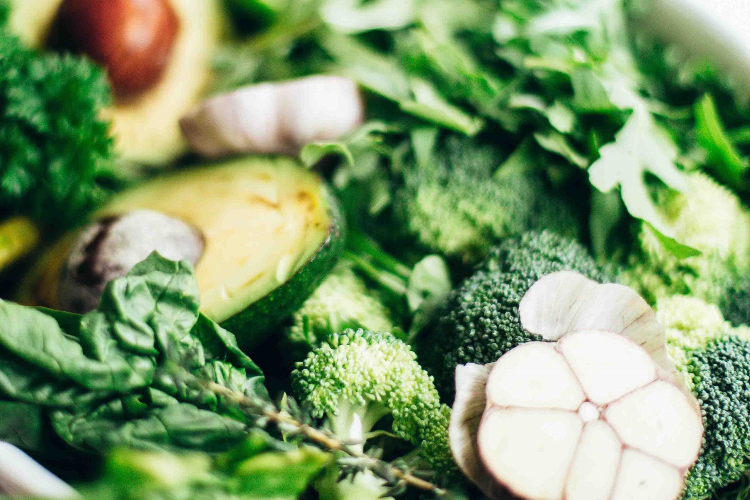 web size Nourish